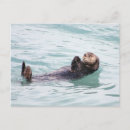 Search for otter postcards Sea