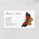 Search for insects business cards Colourful