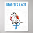 Search for life cycle posters Awareness