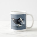 Search for killer whales mugs Nature