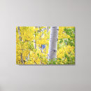 Search for aspen canvas prints Yellow