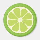 Search for lemon lime magnets Kitchen