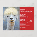 Search for weird christmas postcards Humourous