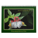 Search for insect calendars Moths