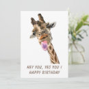 Search for funny giraffe birthday cards Giraffes