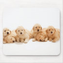 Search for golden retriever mouse mats Cute