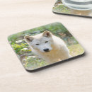Search for wildlife coasters Canada