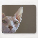 Search for wrinkled mouse mats Ugly