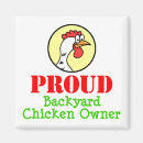 Search for backyard magnets Cartoon chicken