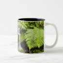 Search for moss mugs Nature