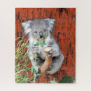 Search for koala puzzles Animals