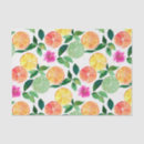 Search for citrus fruit tissue paper Floral
