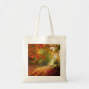 Search for road tree bags Autumn