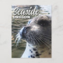 Search for sealion Ocean