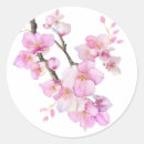 Search for sakura cherry blossom stickers Minimalist