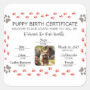 Search for small puppy stickers For pets