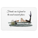 Search for mermaid magnets Fish