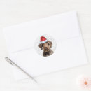 Search for german wirehaired pointer stickers Animals