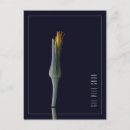 Search for get well soon postcards Green