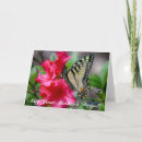 Search for butterfly mothers day cards Nature