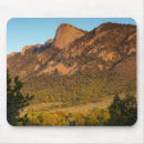 Search for scout mouse mats Outdoors