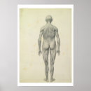 Search for human figure posters View