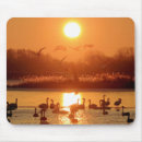 Search for lake sunset mouse mats Landscape