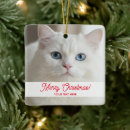 Search for fluffy christmas tree decorations White