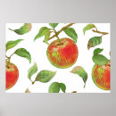 Search for red apple posters Green