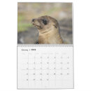 Search for galapagos calendars Wildlife