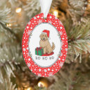 Search for golden doodle christmas tree decorations Santa