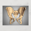 Search for human bones postcards Illustration