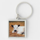 Search for hay square key rings Animal