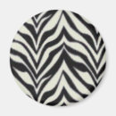 Search for zebra stripes magnets Striped