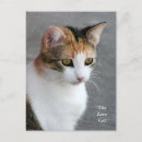 Search for red brown postcards Orange