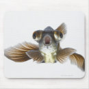 Search for ocean front mouse mats Full length