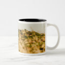 Search for siena mugs Architecture