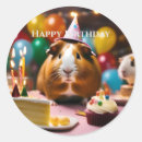 Search for cute guinea pig stickers Party