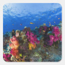 Search for reef stickers Outdoors
