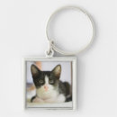 Search for one people key rings Domestic animals