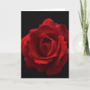 Search for rosa cards Red