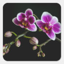 Search for gentle stickers Red