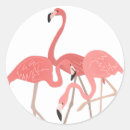 Search for trio stickers Pink