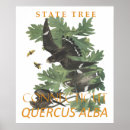 Search for chartered posters Connecticut