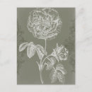 Search for relief Flowers