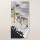 Search for timber wolves Winter