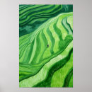 Search for rice paper art Landscape