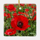 Search for poppy christmas tree decorations Green
