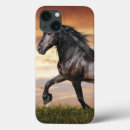 Search for beautiful horse iphone cases Horses