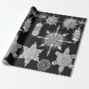 Search for aquatic wrapping paper Ernst haeckel